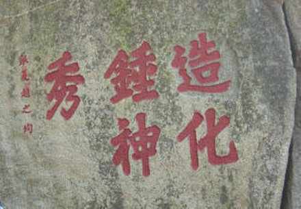 蒂花之秀什么梗  第4张