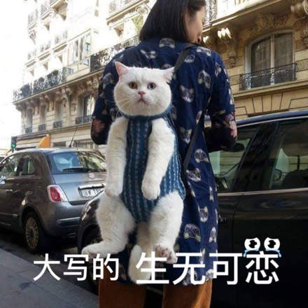 人间不值得什么意思？  第4张