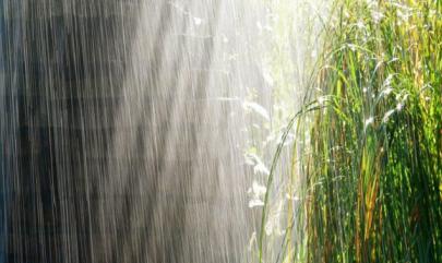 雨水是二十四节气中的第几个节气?有什么习俗 第1张 雨水是二十四节气中的第几个节气?有什么习俗 第1张