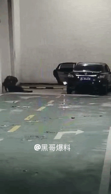 车震有风险 大家需谨慎  第2张