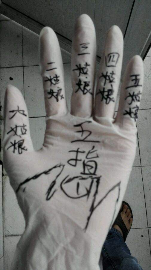 五指姑娘是什么意思？  第1张