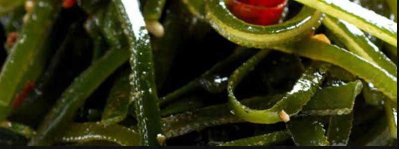 海带属于植物吗？  第1张